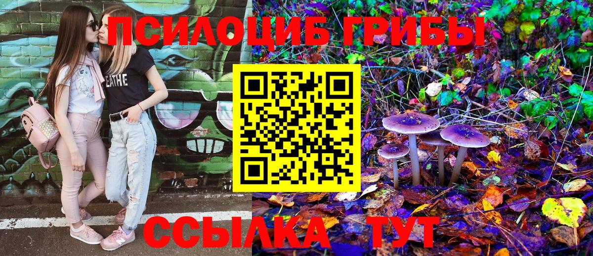 Псилоцибиновые грибы ЛСД Черкесск